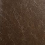 AMBER SGL-001