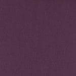 Acai-WSL-001