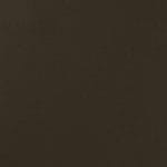 Allspice EVE-101