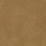 Almond 519030