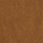 Almond Biscotti FLOCY-9692
