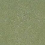Aloe-TPE-001