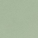 Aloe WST-002