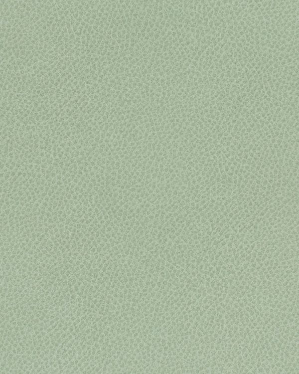 steinbeck Aloe Wst