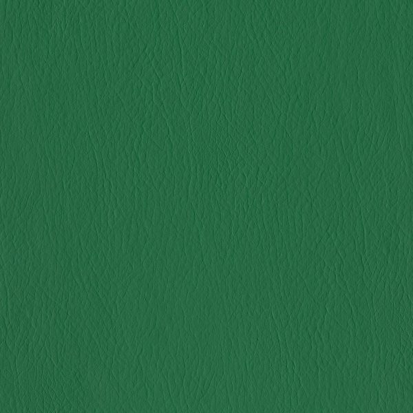 verde Amazon