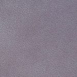 Amethyst WCL-003