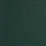 Appalachian-SCL-202