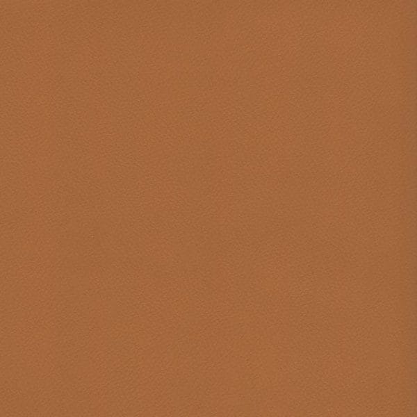 premier Apricot