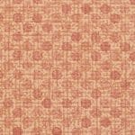 Apricot 525976