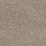 Ash Gray 535887