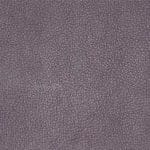 Aubergine-TPE-002