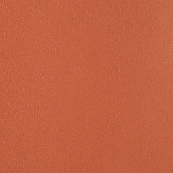 foundation Autumn Pfo