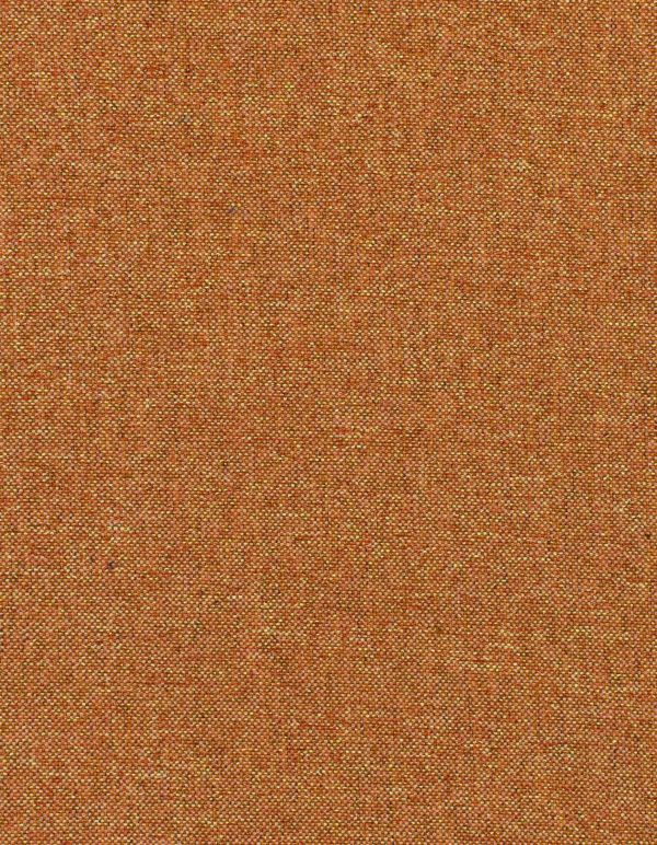 constance Aztec Ncnp