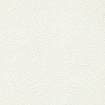 Off White BEL-3303