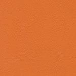 Papaya BEL-3306