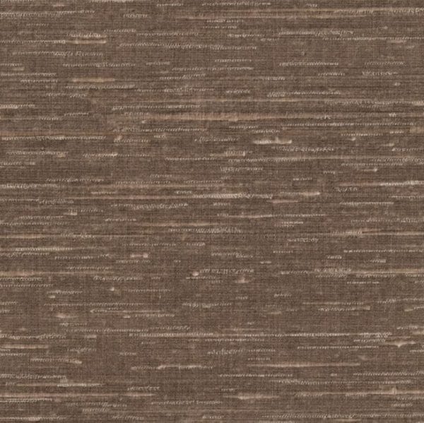 trace Bark
