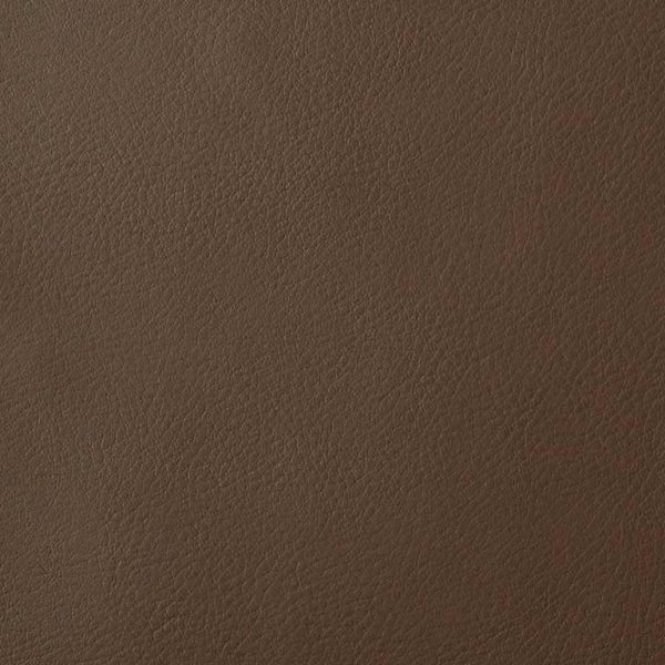 verve ii Bark Eve