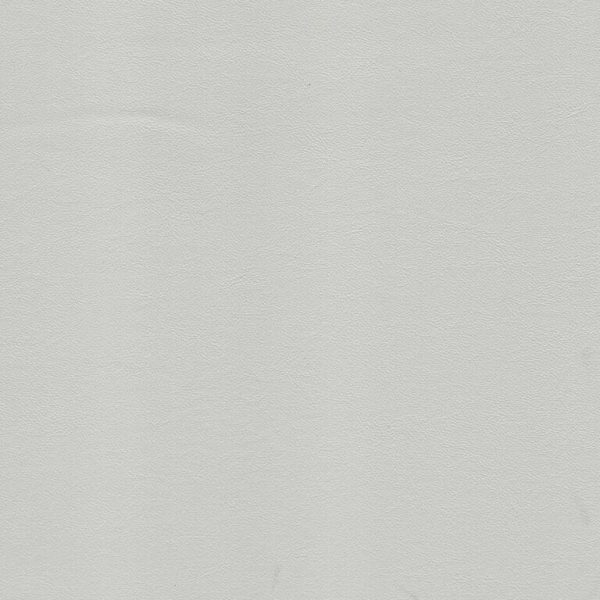 savoy ii Beech Sav