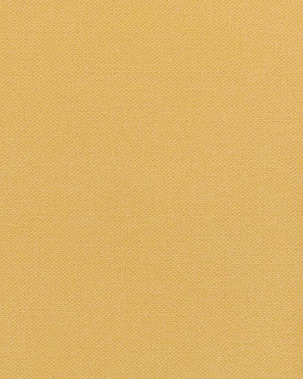 notion Beeswax Sno