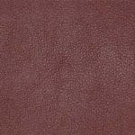 Beet-TPE-004