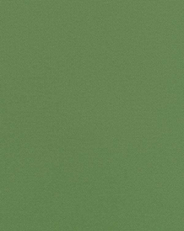 moxie Blarney Smi