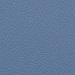 Blue Moon 514977