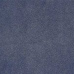 Blueberry-TPE-006
