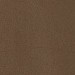 Brown Sugar 522779