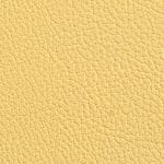 Buttercup 514710