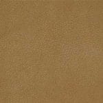 Butterscotch-TPE-007