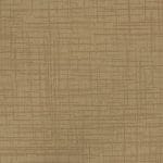 CANVAS SMU-005
