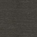 Carbon