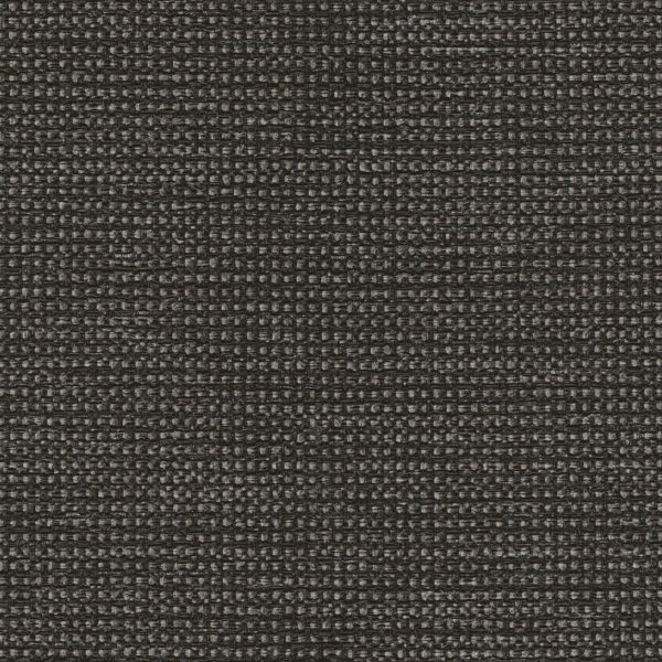 synergy Carbon
