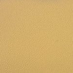 CASHEW SCL-011
