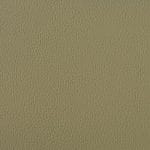 CELERY SCL-013