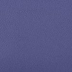 CURRANT SCL-105