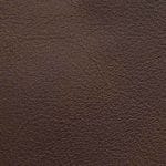 Candied Pecan CAFECY-9807