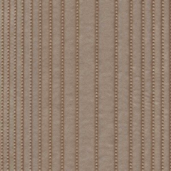 spectrum Canvas