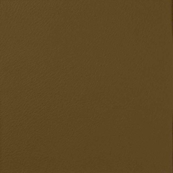 verve ii Caramel Eve