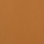 Caramel PFO-004