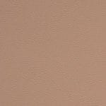 Carnation-SCL-206