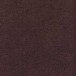 Cassis SNO-005