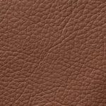 Earthy (LINCY-8890)