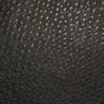 Caviar-TPH-003