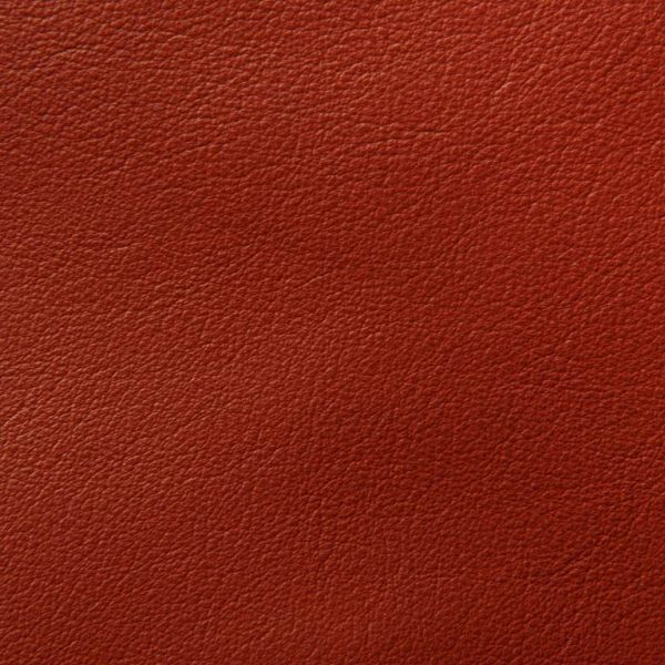 harmony eco leather Cayenne Cohcy