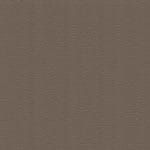 Cedar 371
