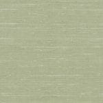 Celadon