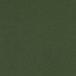 Celtic-WTL-003