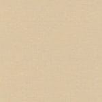 Chamois