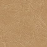 Chamois 535882